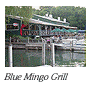 Blue Mingo, Cooperstown NY